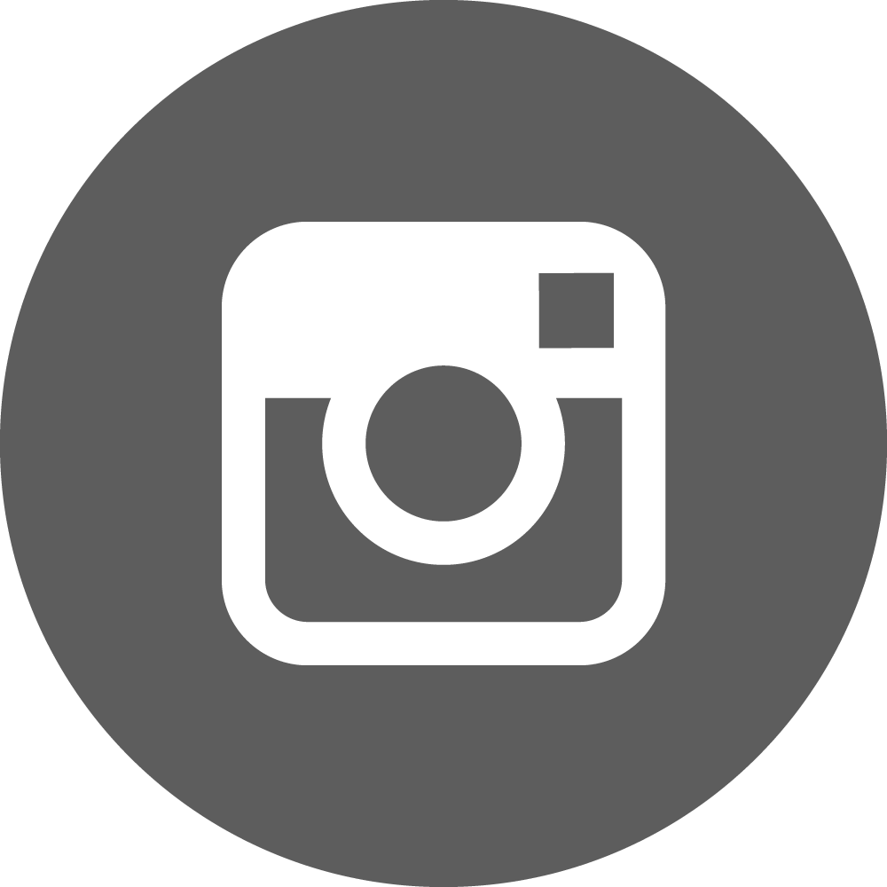 instagram icon/link